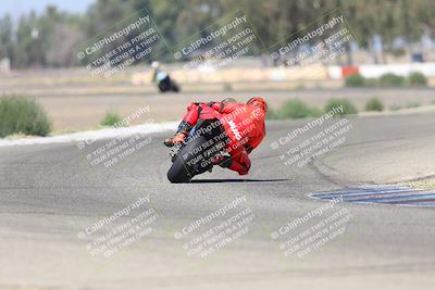 media/Sep-07-2025-Pacific Track Time (Sun) [[a6322260b9]]/A and B Group/Wheelie Bump A and B/